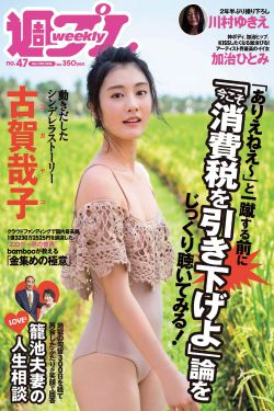 新女婿时代